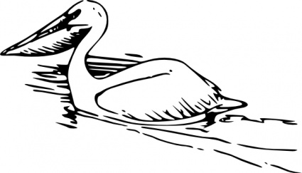 Pelican clip art