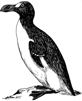 Penguin clip art