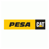 Pesa