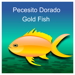 Pez dorado (gold fish)