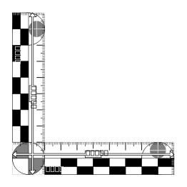 Photomacrographic scale 10x10cm