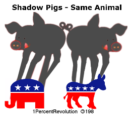 Pig Shadow