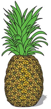 Pineapple 3