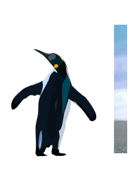 Pinguino