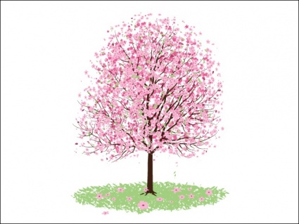 Pink Cherry Blossom Tree