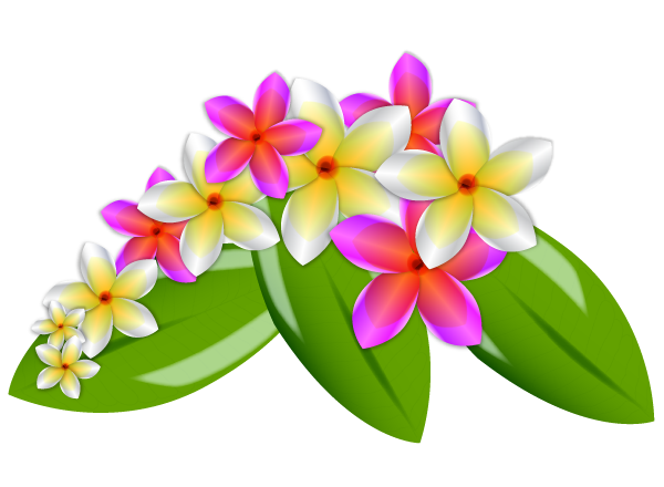 Plumeria Vector Flowers