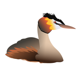 Podiceps_cristatus