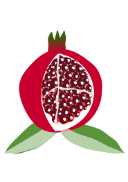 Pomegranate Fruit