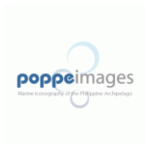 Poppeimages