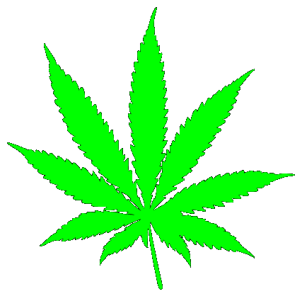 Pot Leaf