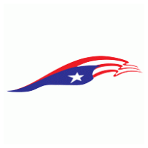 Puerto Rico Flag for Truck and car