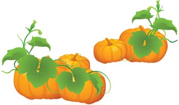 Pumpkin 3