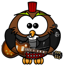 Punk Owl