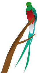 Quetzal