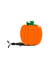 Rabbit Pumpkin