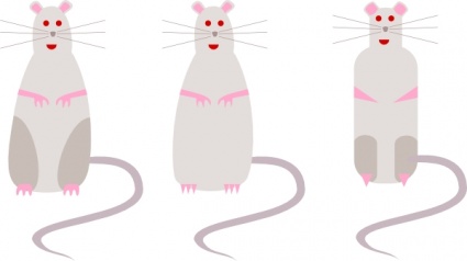 Rat clip art