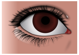 Realistic Brown Eye