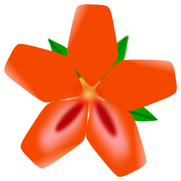 Red Flower