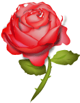 Red Rose Vector