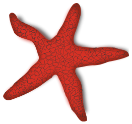 Red Starfish