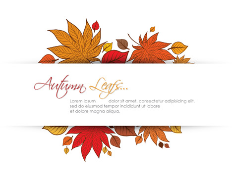 Retro Style Autumn Leafs Frames