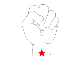 Revolution Fist