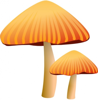 Rockraikar Orange Mushroom clip art