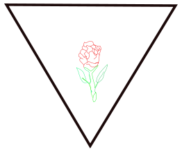 Rosa Y Triangulo