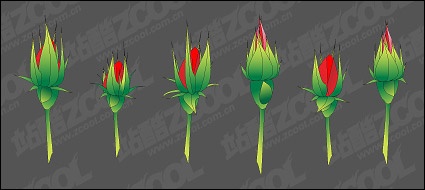 Rose Bud vector