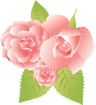 Rose Flower Vetor 31