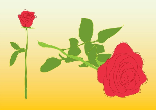 Roses Vector