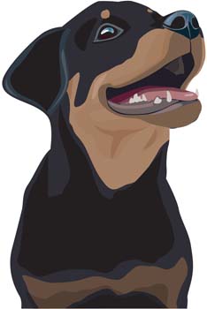 Rottweiler 4