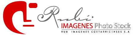 Rubi Imagenes Photo Stock