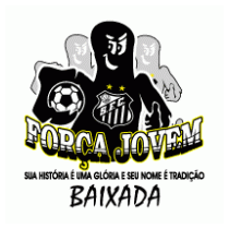 Santos Torcida Forca Jovem