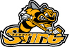 Sarnia Sting