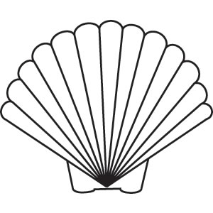 Scallop Shell