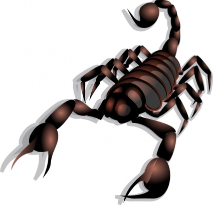 Scorpion clip art