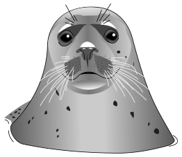 Seal