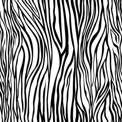 Seamless Pattern Zebra