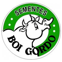 Sementes Boi Gordo