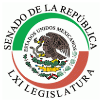 Senado México LXI