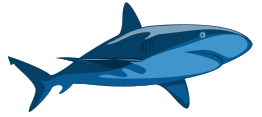 Shark Pure