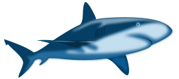 Shark Shaded