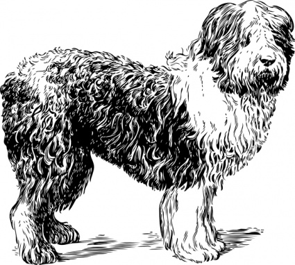 Sheep Dog clip art