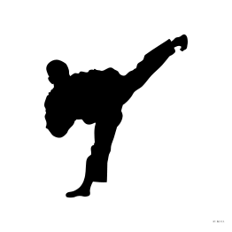 Silueta Tae Kwon Do