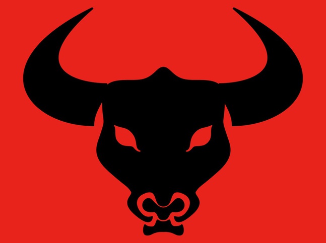 Simple Bull Head