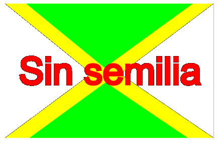 Sin Semilia