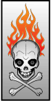 Skull And Fire Vectors