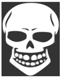 Skull human X-ray