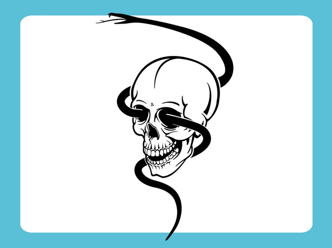 Skull With Snake Vector